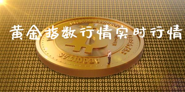 黄金指数行情实时行情_https://www.zghnxxa.com_期货直播室_第1张