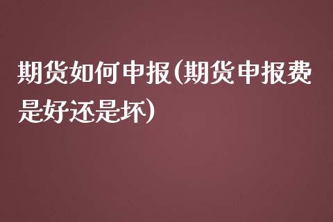 期货如何申报(期货申报费是好还是坏)_https://www.zghnxxa.com_黄金期货_第1张