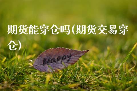 期货能穿仓吗(期货交易穿仓)_https://www.zghnxxa.com_期货直播室_第1张