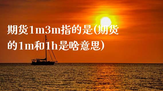 期货1m3m指的是(期货的1m和1h是啥意思)_https://www.zghnxxa.com_内盘期货_第1张