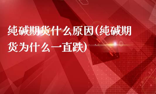 纯碱期货什么原因(纯碱期货为什么一直跌)_https://www.zghnxxa.com_国际期货_第1张