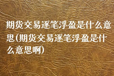 期货交易逐笔浮盈是什么意思(期货交易逐笔浮盈是什么意思啊)_https://www.zghnxxa.com_内盘期货_第1张