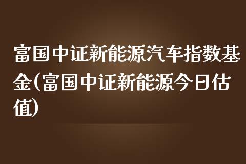 富国中证新能源汽车指数基金(富国中证新能源今日估值)_https://www.zghnxxa.com_内盘期货_第1张