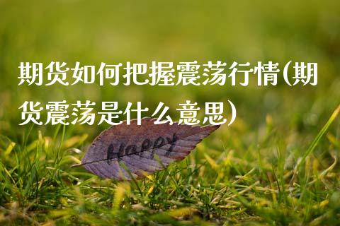 期货如何把握震荡行情(期货震荡是什么意思)_https://www.zghnxxa.com_期货直播室_第1张