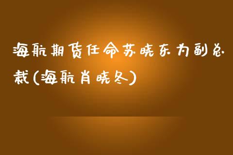 海航期货任命苏晓东为副总裁(海航肖晓冬)_https://www.zghnxxa.com_内盘期货_第1张