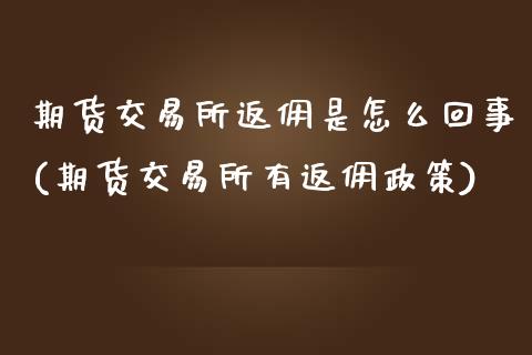 期货交易所返佣是怎么回事(期货交易所有返佣政策)_https://www.zghnxxa.com_黄金期货_第1张