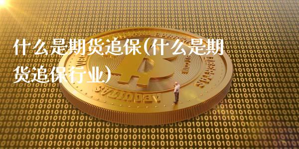 什么是期货追保(什么是期货追保行业)_https://www.zghnxxa.com_黄金期货_第1张