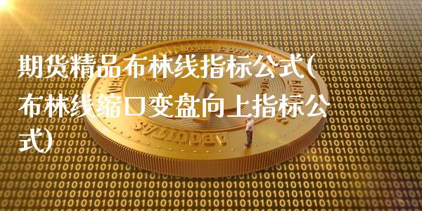 期货精品布林线指标公式(布林线缩口变盘向上指标公式)_https://www.zghnxxa.com_国际期货_第1张