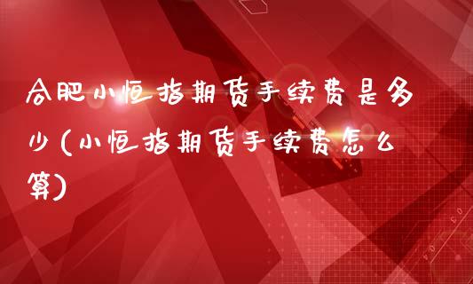 合肥小恒指期货手续费是多少(小恒指期货手续费怎么算)_https://www.zghnxxa.com_期货直播室_第1张