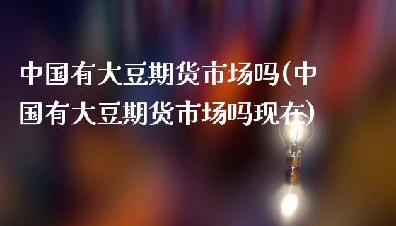 中国有大豆期货市场吗(中国有大豆期货市场吗现在)_https://www.zghnxxa.com_内盘期货_第1张