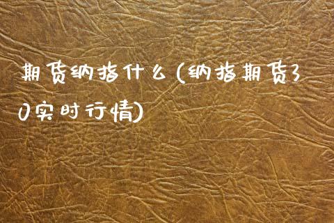 期货纳指什么(纳指期货30实时行情)_https://www.zghnxxa.com_国际期货_第1张