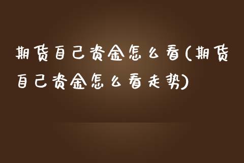 期货自己资金怎么看(期货自己资金怎么看走势)_https://www.zghnxxa.com_黄金期货_第1张