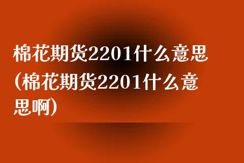 棉花期货2201什么意思(棉花期货2201什么意思啊)_https://www.zghnxxa.com_国际期货_第1张