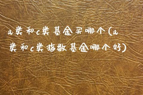 a类和c类基金买哪个(a类和c类指数基金哪个好)_https://www.zghnxxa.com_国际期货_第1张