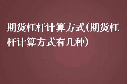 期货杠杆计算方式(期货杠杆计算方式有几种)_https://www.zghnxxa.com_国际期货_第1张