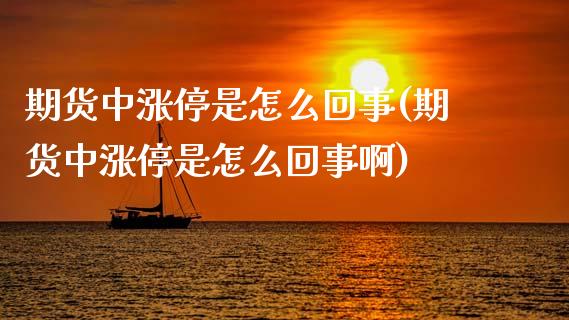 期货中涨停是怎么回事(期货中涨停是怎么回事啊)_https://www.zghnxxa.com_黄金期货_第1张