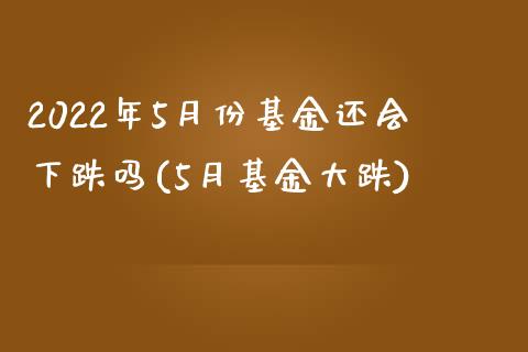 2022年5月份基金还会下跌吗(5月基金大跌)_https://www.zghnxxa.com_期货直播室_第1张