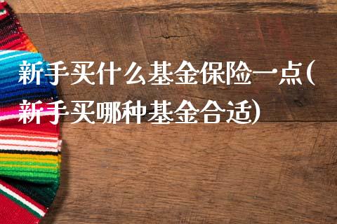 新手买什么基金保险一点(新手买哪种基金合适)_https://www.zghnxxa.com_黄金期货_第1张