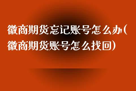 徽商期货忘记账号怎么办(徽商期货账号怎么找回)_https://www.zghnxxa.com_黄金期货_第1张