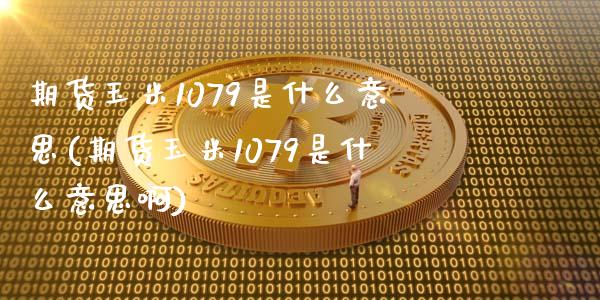 期货玉米1079是什么意思(期货玉米1079是什么意思啊)_https://www.zghnxxa.com_内盘期货_第1张