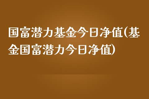 国富潜力基金今日净值(基金国富潜力今日净值)_https://www.zghnxxa.com_内盘期货_第1张