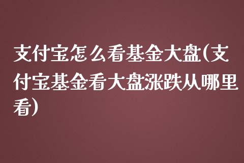 支付宝怎么看基金大盘(支付宝基金看大盘涨跌从哪里看)_https://www.zghnxxa.com_内盘期货_第1张