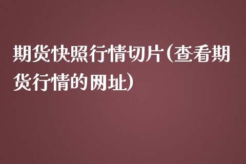 期货快照行情切片(查看期货行情的网址)_https://www.zghnxxa.com_内盘期货_第1张