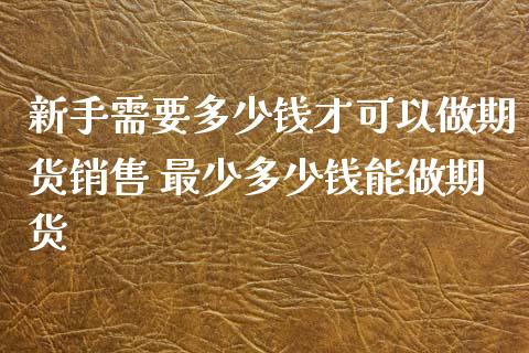 新手需要多少钱才可以做期货销售 最少多少钱能做期货_https://www.zghnxxa.com_黄金期货_第1张