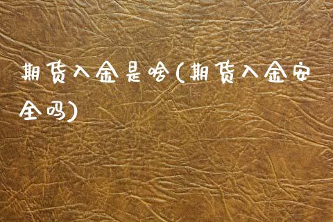 期货入金是啥(期货入金安全吗)_https://www.zghnxxa.com_国际期货_第1张