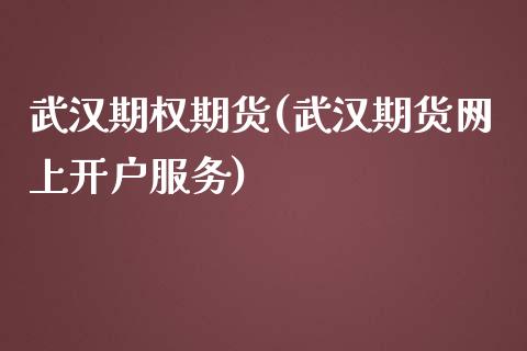 武汉期权期货(武汉期货网上开户服务)_https://www.zghnxxa.com_内盘期货_第1张