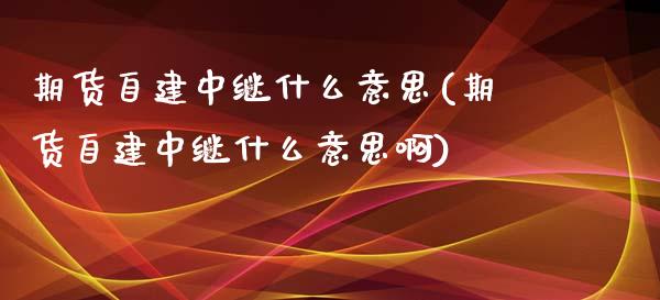 期货自建中继什么意思(期货自建中继什么意思啊)_https://www.zghnxxa.com_期货直播室_第1张