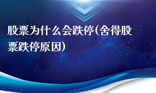 股票为什么会跌停(舍得股票跌停原因)_https://www.zghnxxa.com_内盘期货_第1张