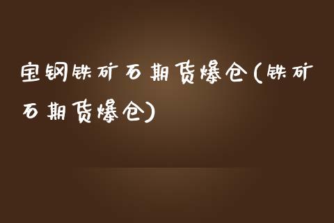 宝钢铁矿石期货爆仓(铁矿石期货爆仓)_https://www.zghnxxa.com_内盘期货_第1张