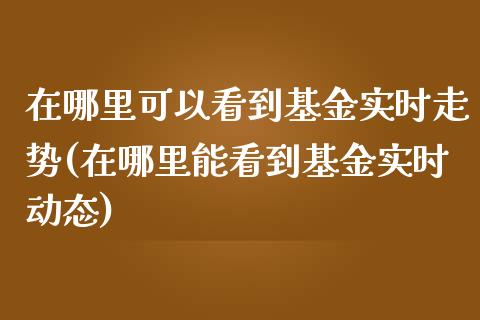 在哪里可以看到基金实时走势(在哪里能看到基金实时动态)_https://www.zghnxxa.com_黄金期货_第1张