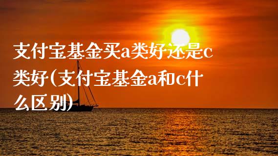 支付宝基金买a类好还是c类好(支付宝基金a和c什么区别)_https://www.zghnxxa.com_国际期货_第1张