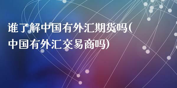 谁了解中国有外汇期货吗(中国有外汇交易商吗)_https://www.zghnxxa.com_黄金期货_第1张