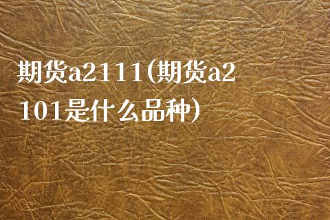 期货a2111(期货a2101是什么品种)_https://www.zghnxxa.com_内盘期货_第1张