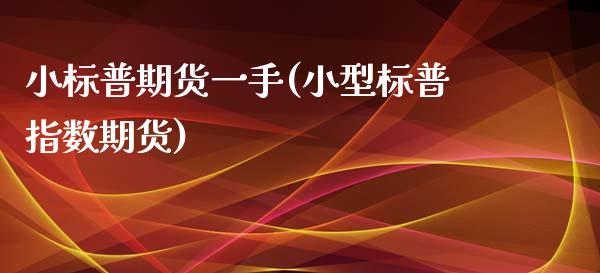 小标普期货一手(小型标普指数期货)_https://www.zghnxxa.com_内盘期货_第1张