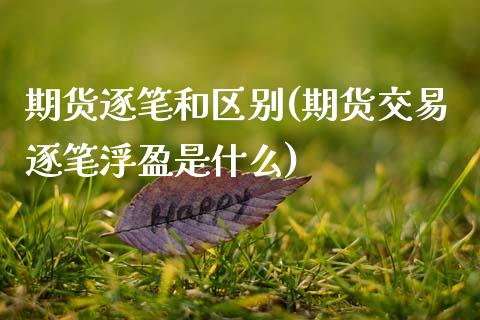 期货逐笔和区别(期货交易逐笔浮盈是什么)_https://www.zghnxxa.com_期货直播室_第1张