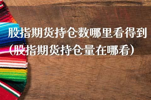 股指期货持仓数哪里看得到(股指期货持仓量在哪看)_https://www.zghnxxa.com_内盘期货_第1张