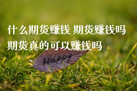 什么期货赚钱 期货赚钱吗期货真的可以赚钱吗_https://www.zghnxxa.com_国际期货_第1张