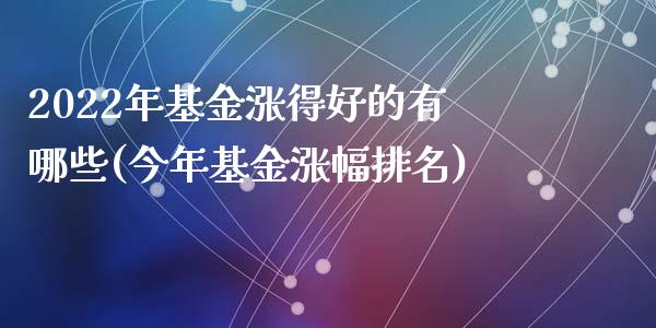 2022年基金涨得好的有哪些(今年基金涨幅排名)_https://www.zghnxxa.com_国际期货_第1张