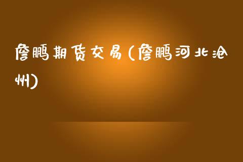 詹鹏期货交易(詹鹏河北沧州)_https://www.zghnxxa.com_国际期货_第1张