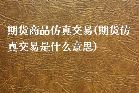 期货商品仿真交易(期货仿真交易是什么意思)_https://www.zghnxxa.com_内盘期货_第1张