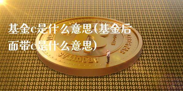 基金c是什么意思(基金后面带c是什么意思)_https://www.zghnxxa.com_内盘期货_第1张