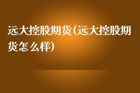 远大控股期货(远大控股期货怎么样)_https://www.zghnxxa.com_内盘期货_第1张