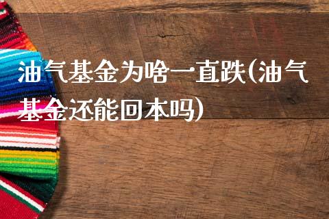 油气基金为啥一直跌(油气基金还能回本吗)_https://www.zghnxxa.com_内盘期货_第1张