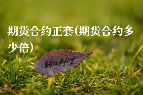 期货合约正套(期货合约多少倍)_https://www.zghnxxa.com_内盘期货_第1张