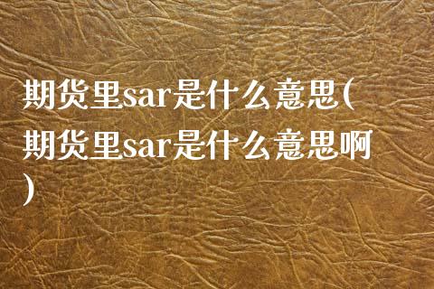 期货里sar是什么意思(期货里sar是什么意思啊)_https://www.zghnxxa.com_期货直播室_第1张