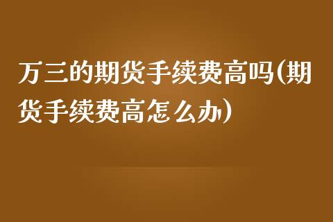 万三的期货手续费高吗(期货手续费高怎么办)_https://www.zghnxxa.com_期货直播室_第1张